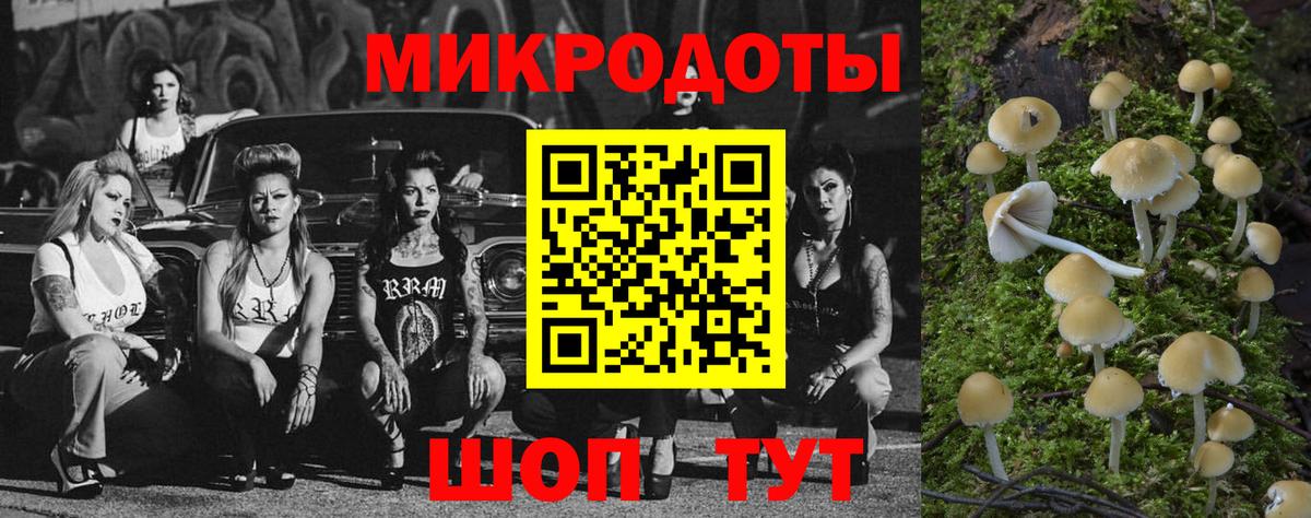 Павловский Посад  Галлюциногенные грибы Cubensis  Псилоцибиновые грибы мухоморы  Вход с VPN 