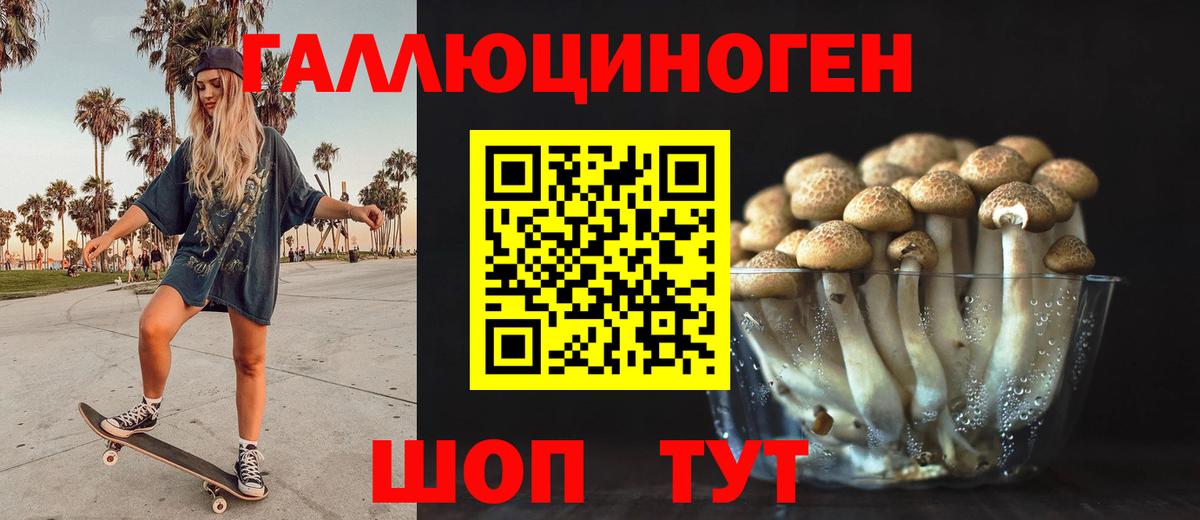 Псилоцибиновые грибы Magic Shrooms Павловский Посад